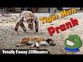 Tiger man prank vs sleeping dog funny scared reaction  try not to laugh combination prank