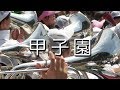 大阪桐蔭 甲子園 応援歌 NHK高校野球テーマソング 2018夏 第100回 高校野球