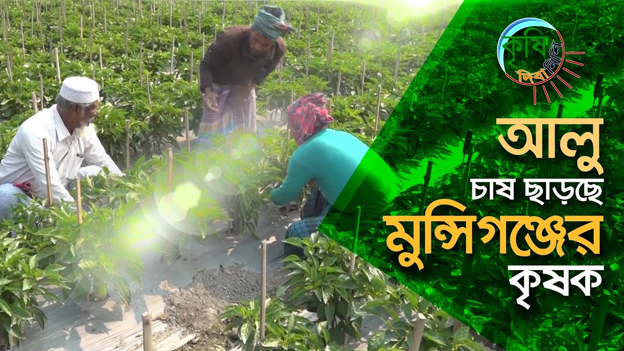 Anal jinsiy aloqada bolgan talaba qizlarning fotosuratlari Uch jinsiy aloqa video