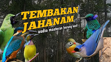 1 TARIKAN NAFAS MATERI PASTI MEWAH || masteran burung kecil paling lengkap