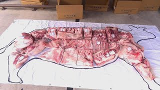 【牛肉の部位丸わかり】肉屋の店主が実際に部位を並べて解説します