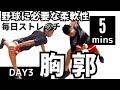 【毎日5分ストレッチ】DAY3. 最短で野球に必要な柔軟性を手に入れる.胸郭と股関節ストレッチ.