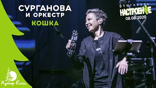 Сурганова И Оркестр - Кошка (Хутор Елки, 08.08.2020)