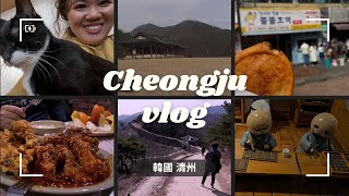 【韓國清州】🍗🍉點炸雞送水果、🍪大家都說好吃的糖餅、🐈‍⬛🐈CP值超高的貓咖!!! ⛰️上黨山城、 🏛️文化園區、古印刷博物館、🍱超酷的一人8000元韓式自助餐