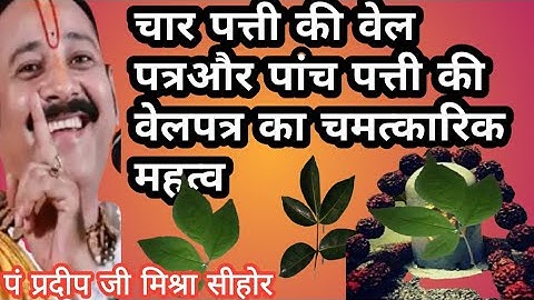 चार पत्ती पांच पत्ती की #वेल पत्र का चमत्कारी महत्व। पंडित #प्रदीप मिश्रा जी सीहोर वाले।चार पत्ती