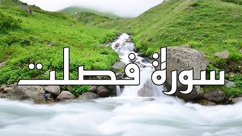 سورة فصلت القارئ الشيخ فارس عباد مكتوبة