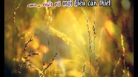 Tinh Cha Yêu Thương (CN8A) - demo - http://songvui.org