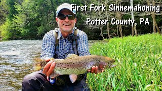 WBD  Fly Fishing Potter County First Fork  Sinnemahoning Creek (Trout Bums Day 5 of 5)