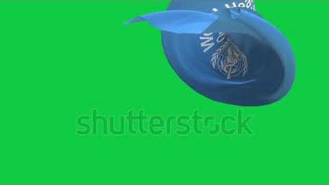 WHO flag ribbon transitions loop green screen 4k