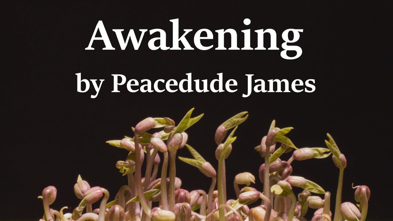 Awakening, by Peacedude James