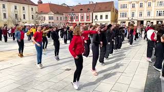 Flashmob 2024 - Audi Hungaria Deutsche Schule Győr