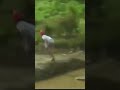Takeshi's Castle Ep 26 Skipping Stones in Replay Look At That