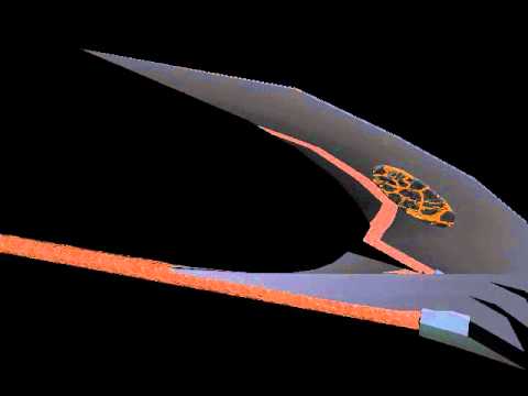 Scythe V1.2 Alhpa(Lightwave test 3-D Animator test)