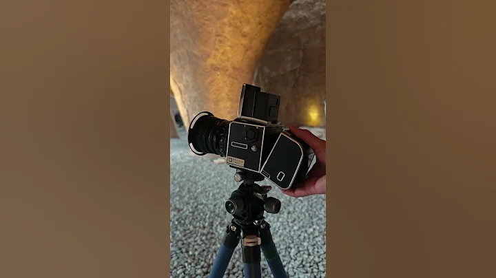 Heritage Meets Innovation: Hasselblad 503CW & CFV 100C