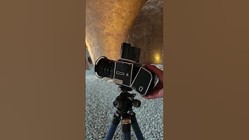 Heritage Meets Innovation: Hasselblad 503CW & CFV 100C