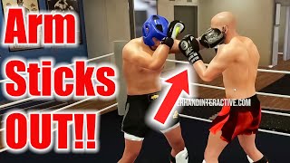 NEW GAMEPLAY Boxing/Muay Thai game STICKING OUT THE ARM!!