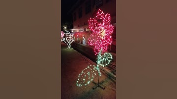 bright light #shorts #vesak #srilanaka #art #culture