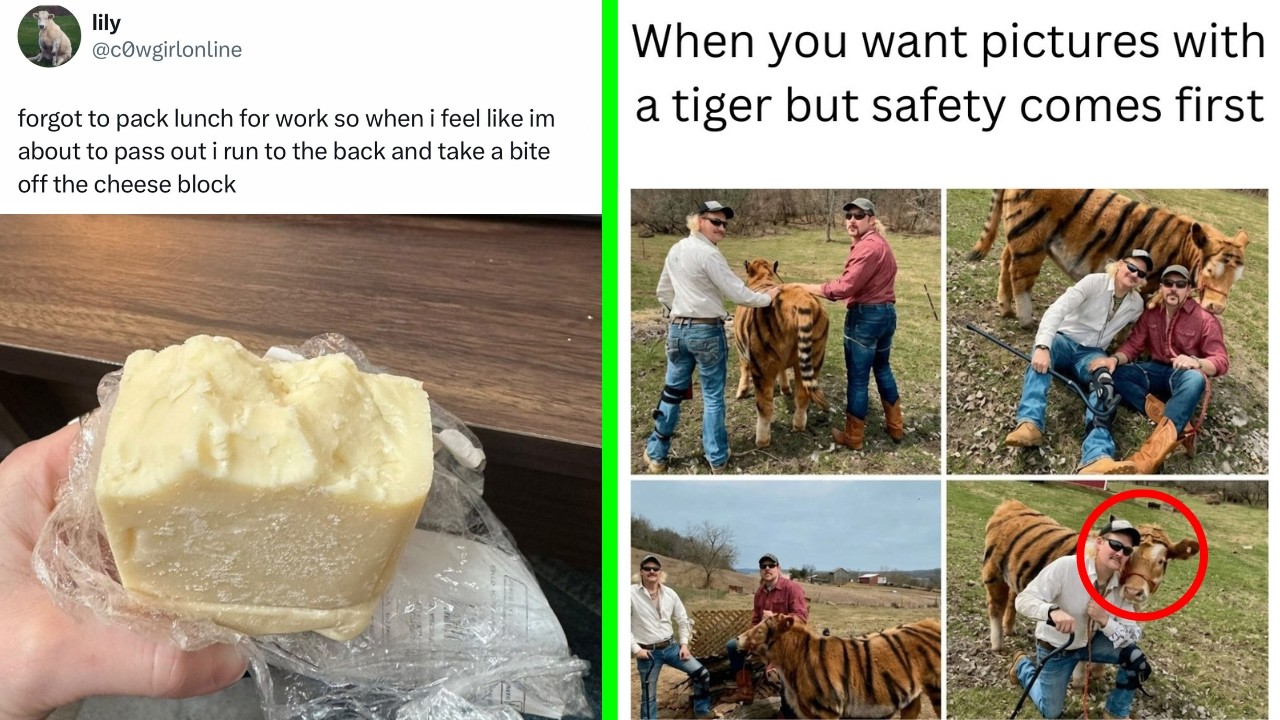 Funny Memes 165 | Forgot to pack lunch for work so...