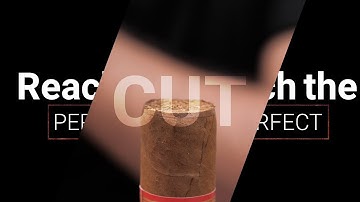 The Perfect Cut by LES FINES LAMES
