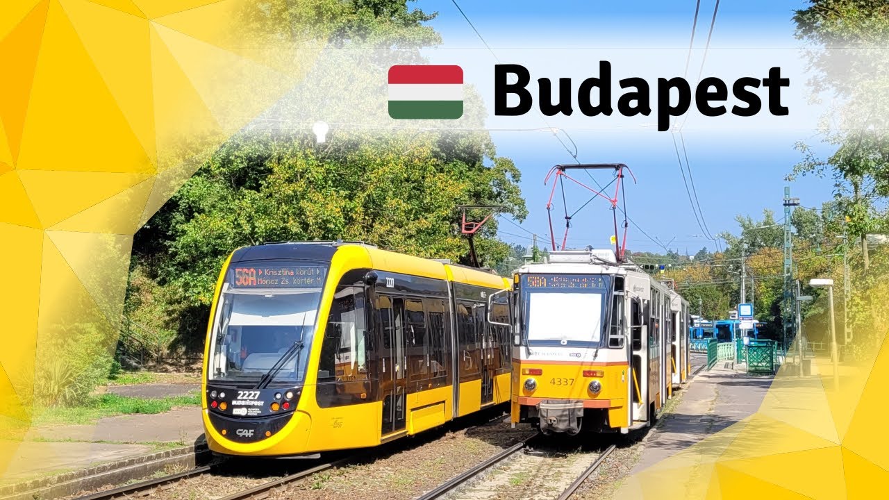 Trams in Budapest: A diverse fleet in the heart of Hungary (2024)