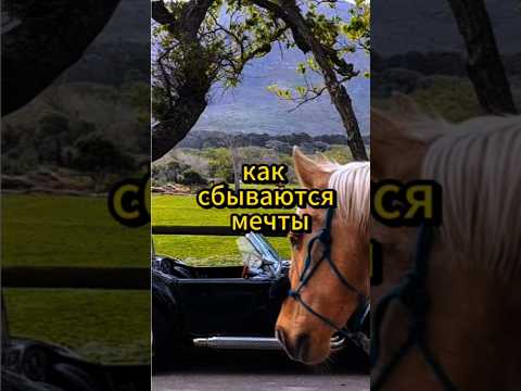 Как сбываются мечты. #мечты. #мышление #позитивноемышление #психологияличности #motivation