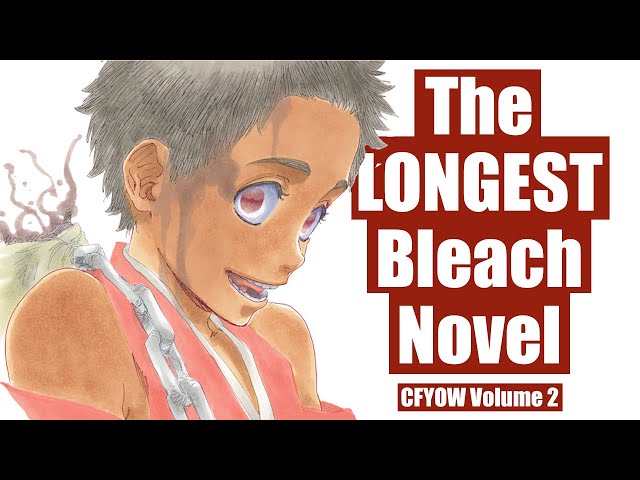 The CRAZY Quincy vs Fullbring vs Arrancar SHOWDOWN - Bleach Boys Review CFYOW Vol 2 class=