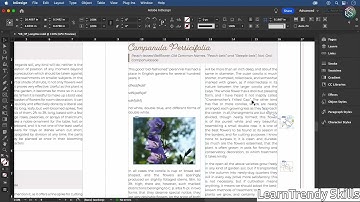 🔹 Using Anchored Objects in Adobe InDesign 2024 | Essential Training