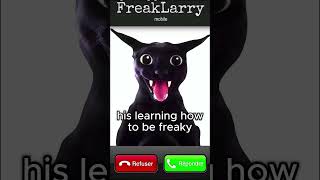 Good news! #cats #memes