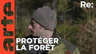 Ils achètent des forêts | ARTE Regards