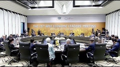 25th APEC Economic Leaders