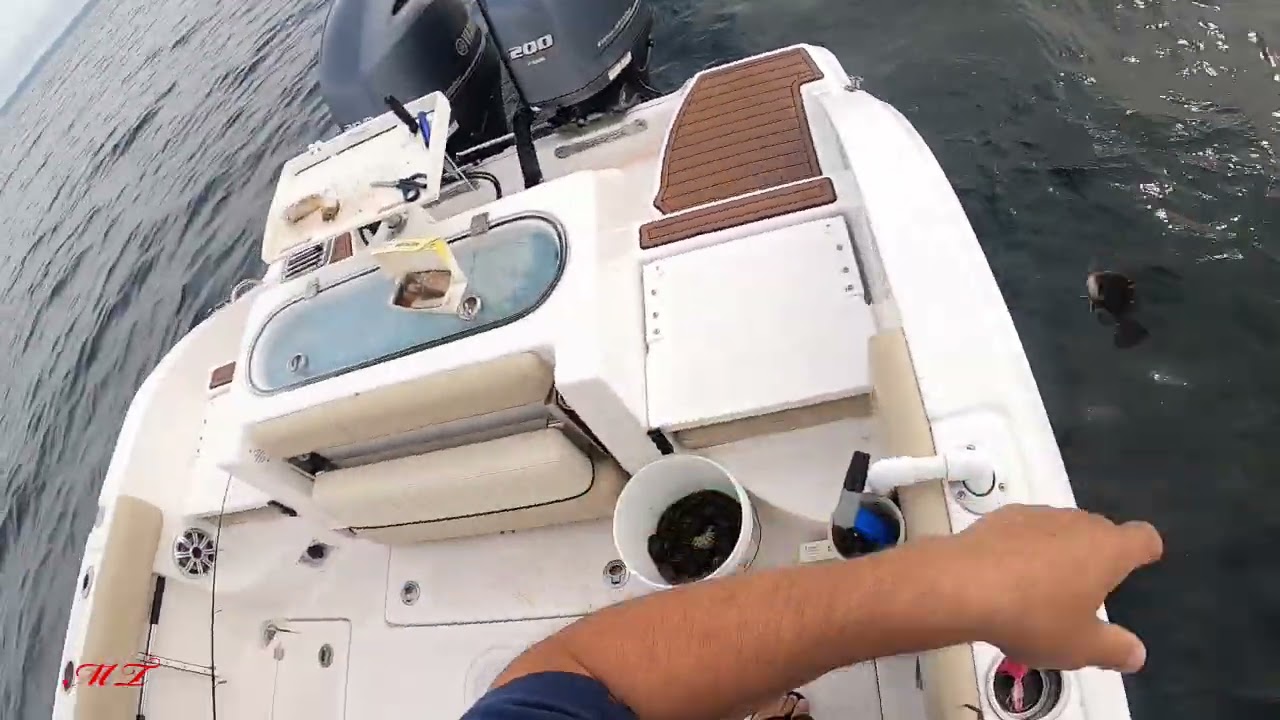 DIY Catching Tautog and Black Sea Bass with M.T. YouTube