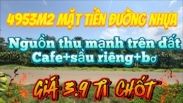 Đất vườn nằm mặt tiền đường nhựa‼️cafe+sầu riêng+bơ thu mạnh‼️tại xã Lộc Nga💢chỉ 3.99 tỉ/ gần 5 sào