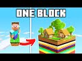 how I went from 1 block to 1000 blocks (One Block #7)