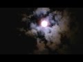 Moon Dance - Patricia Spero (HARP)