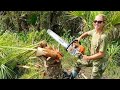 Harvesting Heart of Palm **Swamp Cabbage** Yummy Stew!