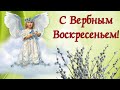 КРАСИВОЕ ПОЗДРАВЛЕНИЕ С ВЕРБНЫМ ВОСКРЕСЕНЬЕМ/МУЗЫКАЛЬНОЕ ПОЗДРАВЛЕНИЕ С ВЕРБНЫМ ВОСКРЕСЕНЬЕМ 🕊️🙏🏼