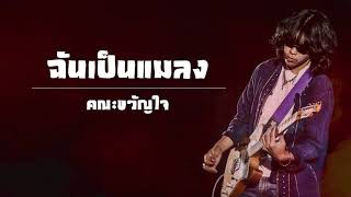 ฉันเป็นแมลง - คณะขวัญใจ [Audio]