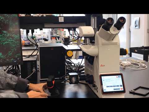 Leica Microsystems DMi8 Microscope Overview