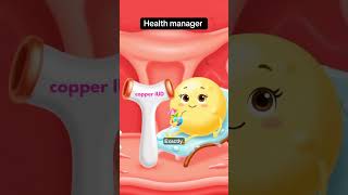 How Does the Copper IUD Actually Work #animation #health... #Shorts #health.manager3