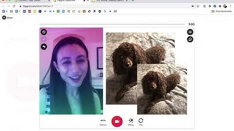 A Quick Introduction to the All New Flipgrid Camera