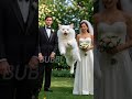 Cats Kitten Funny Videos | Cats Funny Moments #funnymoments #shorts #bubblybuds