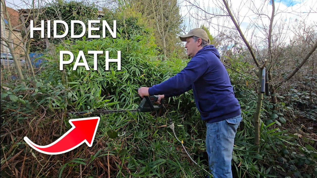 Bramble Battle: My Abandoned Garden!