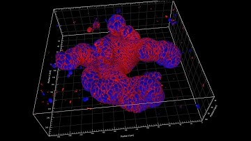 Growth of Epithelial Organoids in a Defined Hydrogel