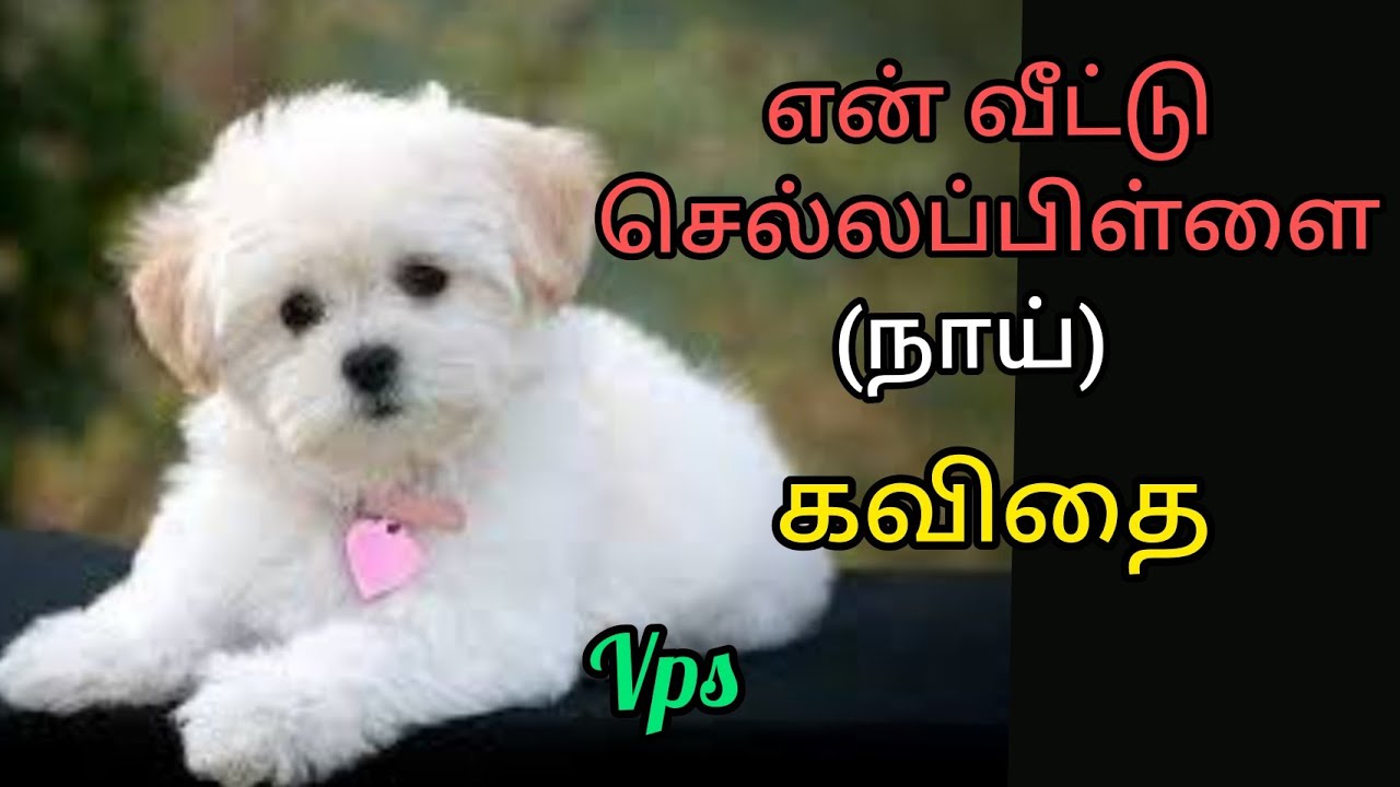 Dog Kavithai Tamil Kavithaigal VPS Tamil Kavithaigal Dog Kavithai Tamil Kavithaigal VPS Tamil Kavithaigal