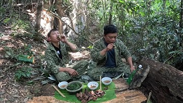 #880. Leven in het diepe bos, avontuur in het bos