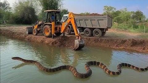 JCB 3dx Backhoe Loading Mud in Mahindra 275 Di tractor JCB miti Khudai #jcb #jcbvideo