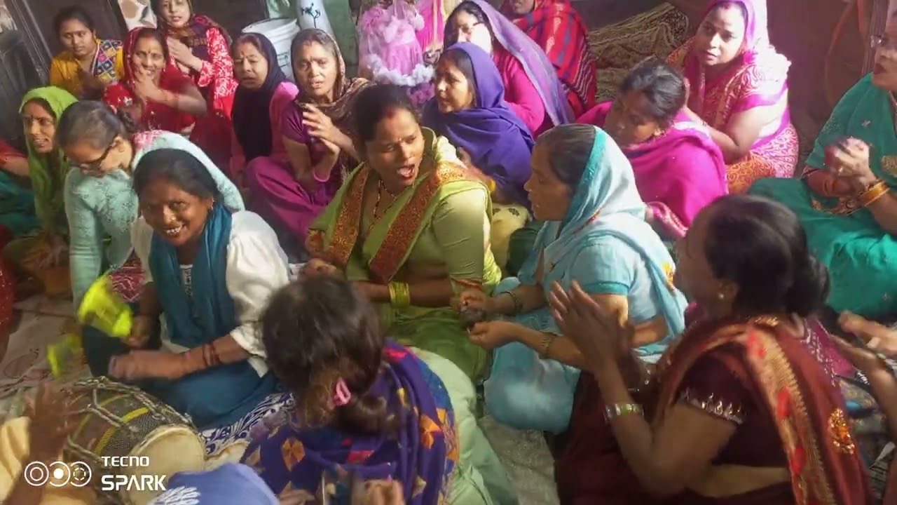 वृंदावन आया कोन सखी हम को बताओ