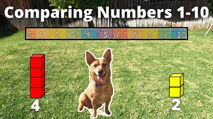 Professor Ginger Compares Numbers 1-10  4K