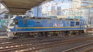 【4K高画質】EF210-323号機 隅田川貨物駅 入換作業
