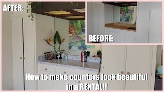 how to UPGRADE your counters/cupboards in a RENTAL! by Shely Home Design 352 views 2 years ago 4 minutes, 36 seconds